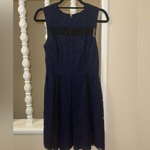 Navy Blue and Black Lace Dress
